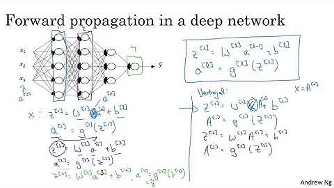 Forward Propagation in a Deep Network