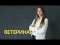 Ветеринар. Блог о профессиях - J😎bber / Джоббер - Всё о профессии ветеринара