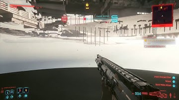 Cyberpunk 2077 Bug | I Walk the Line | Sasquatch | Cyberbug?