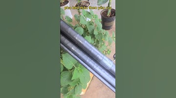 #sửa đồ câu cũ#dựng cần câu#sơn sửa theo yêu cầu