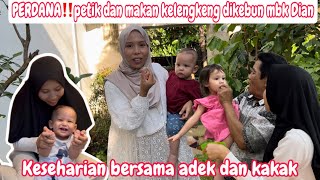 PERDANA‼️ PETIK DAN MAKAN KELENGKENG DIKEBUN MBK DIAN || KESEHARIAN BERSAMA ADEK DAN KAKAK