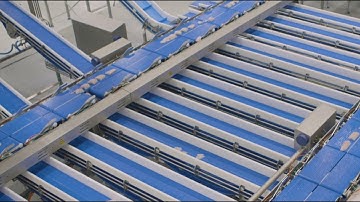 Highly automated processing at Primex Norway