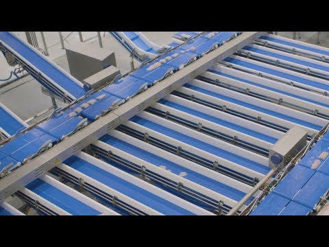 Highly automated processing at Primex Norway