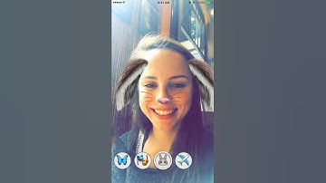 Strive: Live Face Filters Demo