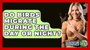 Do Birds Migrate During The Day Or Night? - Ecosystem Essentials