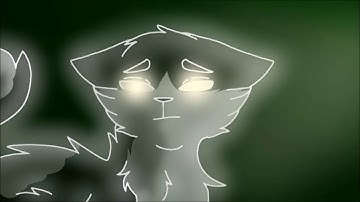 Brightheart and Swiftpaw MAP part 7