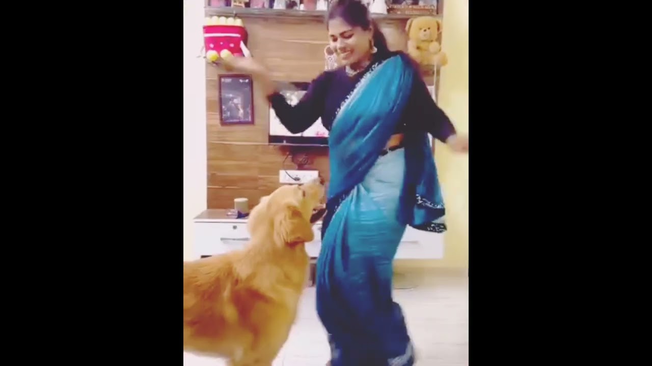 Wait for end 😂😂 comedy show 😂 funny Tech