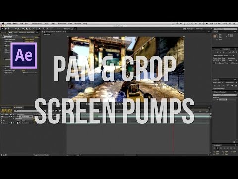 Burd's Pan & Crop [Screen Pumps] Tutorial