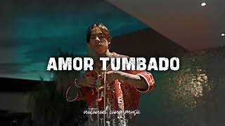 Natanael Cano - Amor Tumbado - Natanael Cano Music