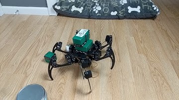 Capers II hexapod payload capacity.