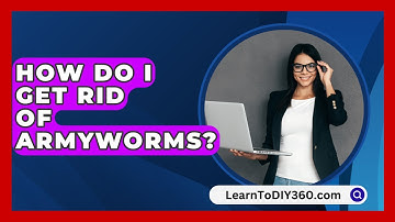 How Do I Get Rid of Armyworms? - LearnToDIY360.com