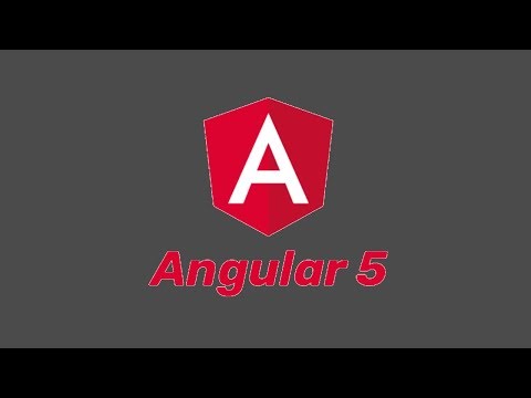 What's New in Angular 5?