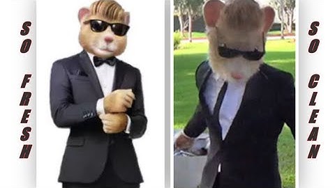 OUTKAST - So Fresh and So Clean - Hamster Style