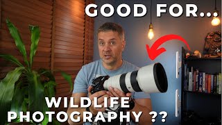 SONY 70-200 F2.8 GM II Lens Review - Good for WILDLIFE Photography? screenshot 4