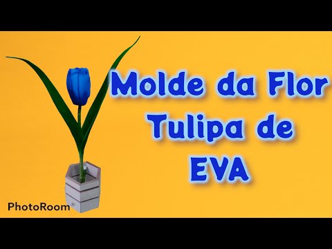 Vídeo: Molde Cinza De Tulipas