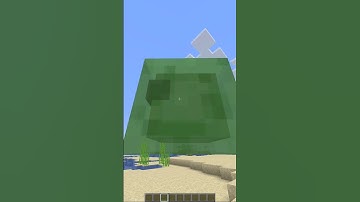 3 Java Features Bedrock Will NEVER Get!