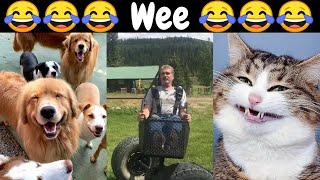 Funny Animals Wee Meme Compilation (2022) #1