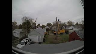 2019-11-09 -- Tree Removal Time Lapse
