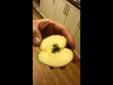 Видео: Ябълков пай 