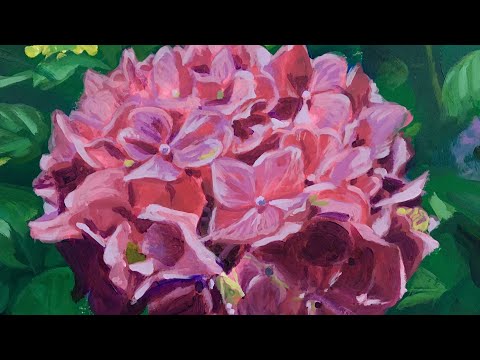 アクリル画】 ピンクの紫陽花を描く(描き方のコツは概要欄にて) - YouTube
