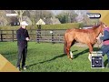 "We either win or we learn": "A bit of a disaster" for The Lost Sock | Interview | Racing TV