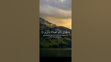 #القرآن_الكريم #اكسبلور #المصحف #تلاوة_قرآن #راحة_نفسية #الرحمن #اكسبلور_explore #quran #explore 