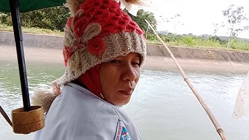 Mồi câu cá ngát sông cực nhậy mà đơn giản dễ tìm nhất