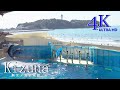 えのすい／kizuna（絆）◇新江ノ島水族館イルカショー♪ Enoshima Aquarium Dolphin Show 『Kizuna』≪4KUltra HD≫