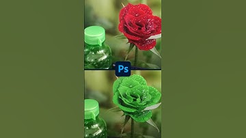 rose colour change #photoshop #sorts