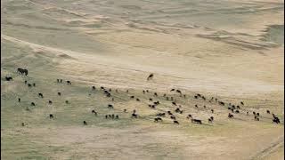 Dwell/Fruit Takes Time - SEU Worship | Ambient Piano Cover