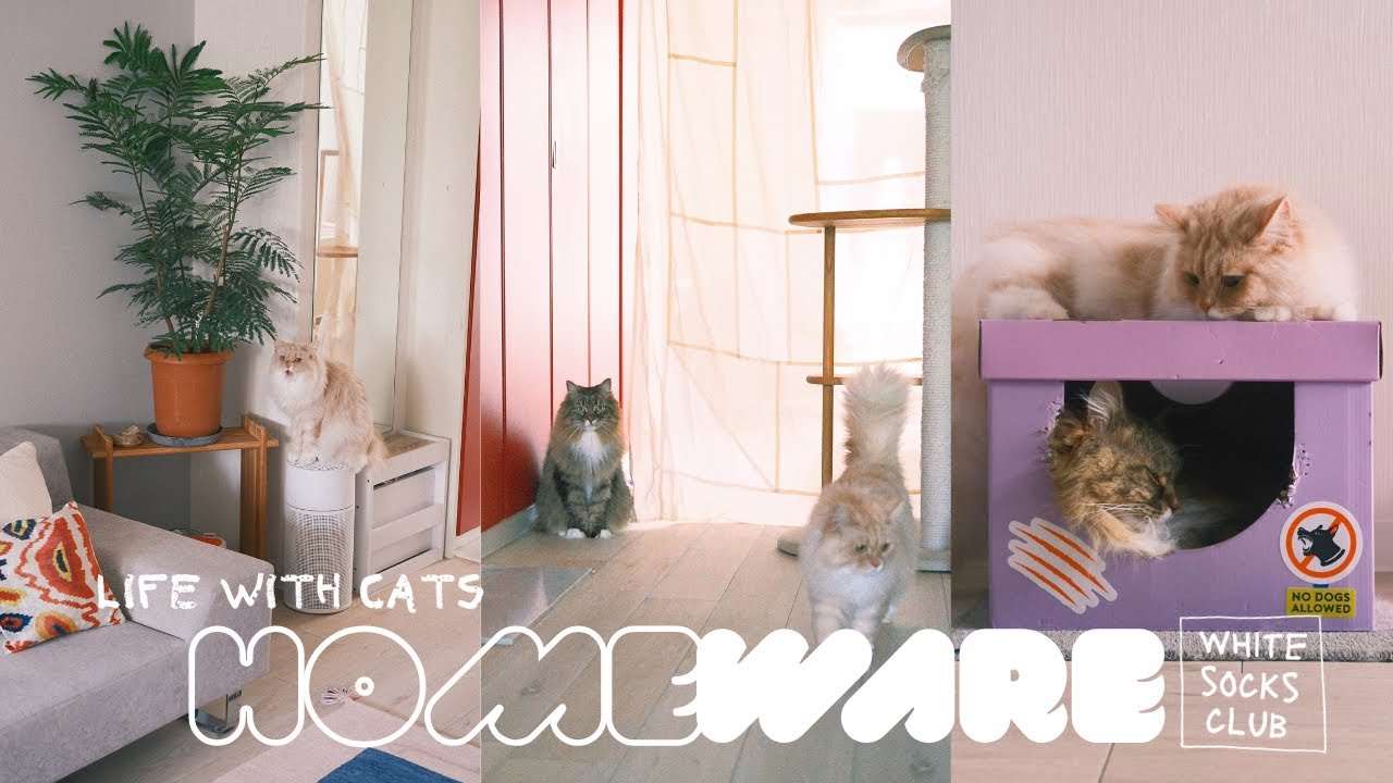 HOMEWARE / 猫とインテリア / 最近の購入品紹介