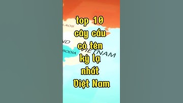 top 10 cây cầu có tên kỳ lạ nhất Việt Nam