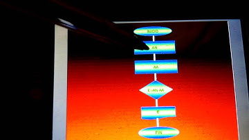 Estructura selectiva multiple