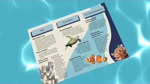 Coral Reef Brochure Animation