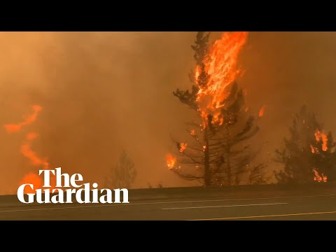 Canada heatwave: resident films escape from wildfire as flames engulf Lytton village