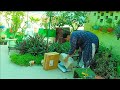 Gardening ko aasan banane ke liye samaan khareeda  online shopping for gardening items