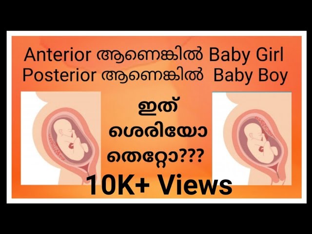 Placenta Positions During Pregnancy Placenta Posterior Means Boy Or Girl Youtube