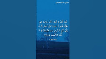 سورة المائدة ( ٥١ - ٥٢) / سعود الشريم