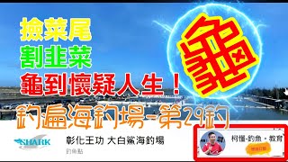 釣遍海釣場柯懂029 彰化王功-大白鯊海釣場｜撿菜尾｜割韭菜 ... 