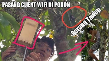 NANGKAP WIFI HOTSPOT DENGAN CP300 TOTOLINK MODE CLIENT | BANTUIN TEMAN VLOG