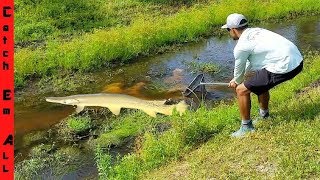 BIG FISH in SHALLOW WATER CREEK!