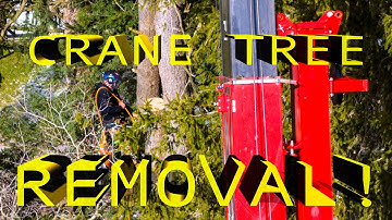 CRANE TREE REMOVAL, Elegant Tree Care, Drone Video