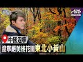 廖科溢《秘境不思溢 第二季》中國遼寧：天橋溝國家公園 被譽為中國楓葉最紅艷之地