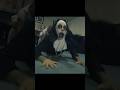 THE NUN KUNG FU PARODY By MARTIAL CLUB Horror Comedy Jackiechan Martialarts