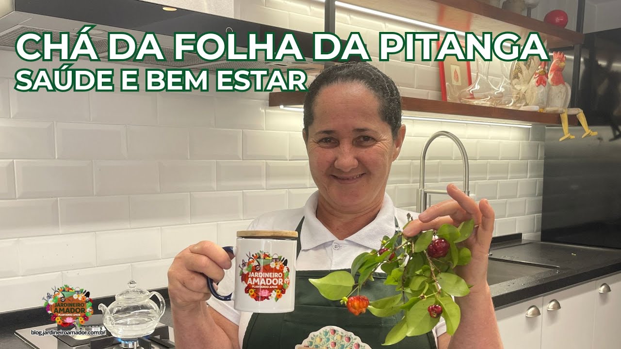 Chá da Folha da Pitanga | Bem-Estar no Seu Dia a Dia