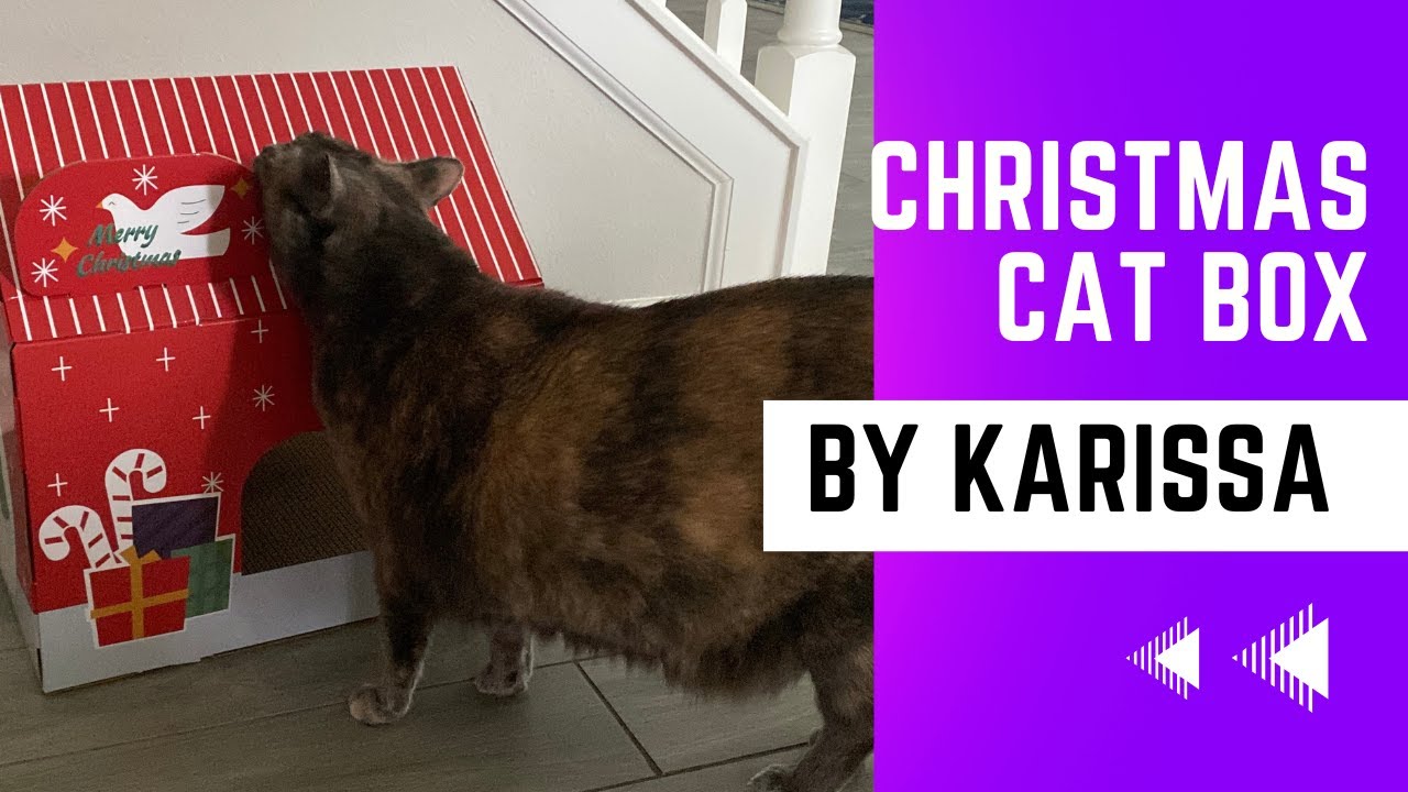 The purrfect box for your cat this Christmas