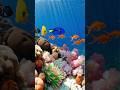 Beautiful fishes in the deep sea.  #usa #fishing #trending #usa