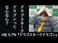 【シャドバ】運営が放った衝撃の一言に一同驚愕!ドラゴスネークドラゴンの涙が止まらない…【シャドウバース/shadowverse/新環境"次元歪曲"/デッキ#19】