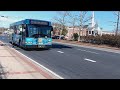 NV: MCDOT Ride On 2014 Gillig Advantage 30ft #5081 On Route 22 (Shortest Ride)
