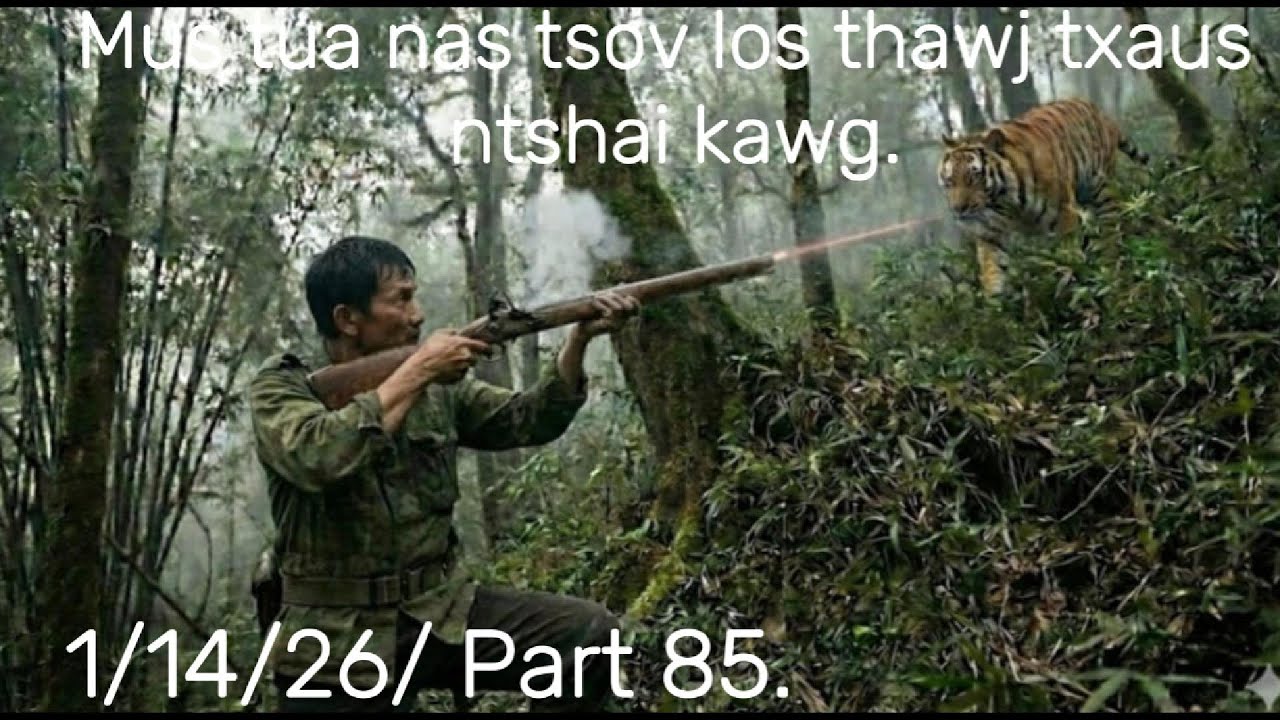 Ntxoov tswb lawv mus tua nas tsov los thawj txaus ntshai kawg.